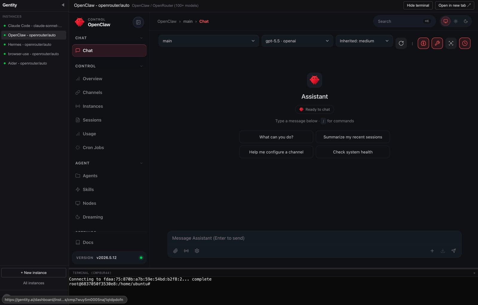 OpenClaw chat UI embedded in the Gentity workspace, with a terminal pinned at the bottom